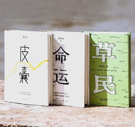 1—42集免费观看狂飙的相关介绍
